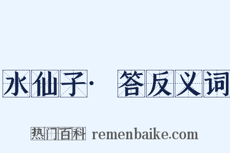水仙子·答反义词是什么意思的图片
